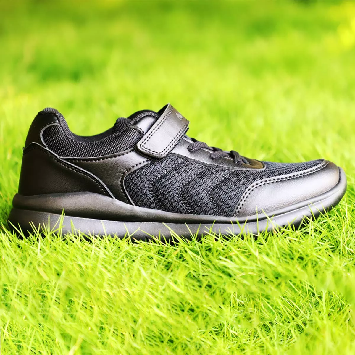 Arctic Fox Brisk Black Velcro School Shoes