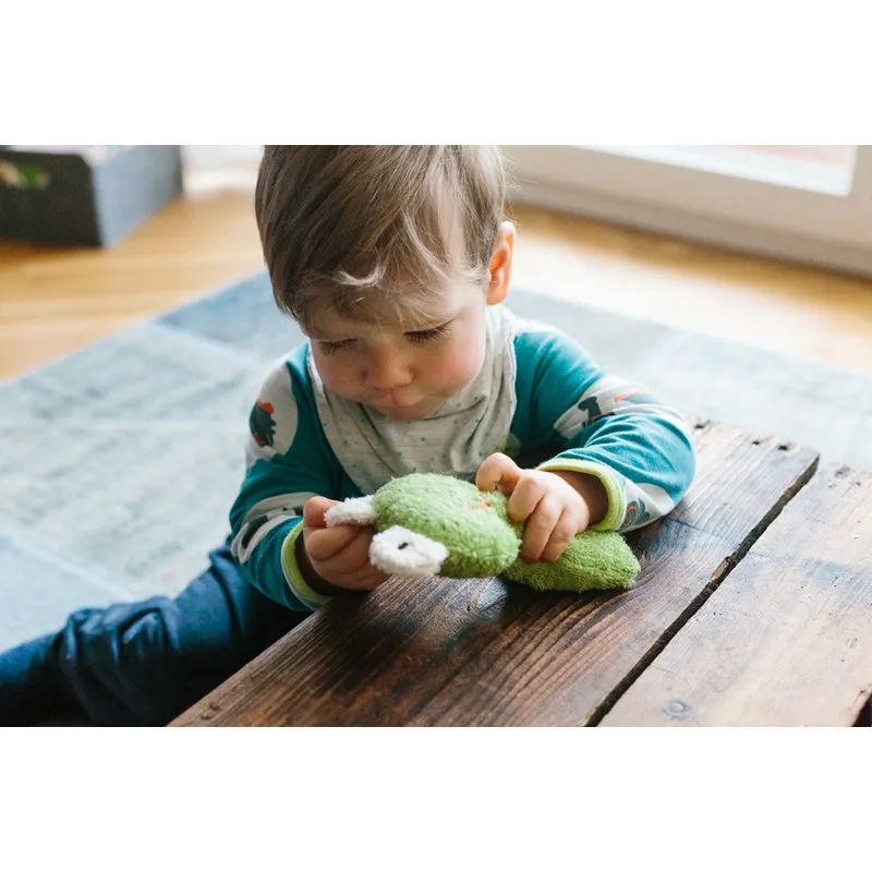 Efie Organic Frog Rattle