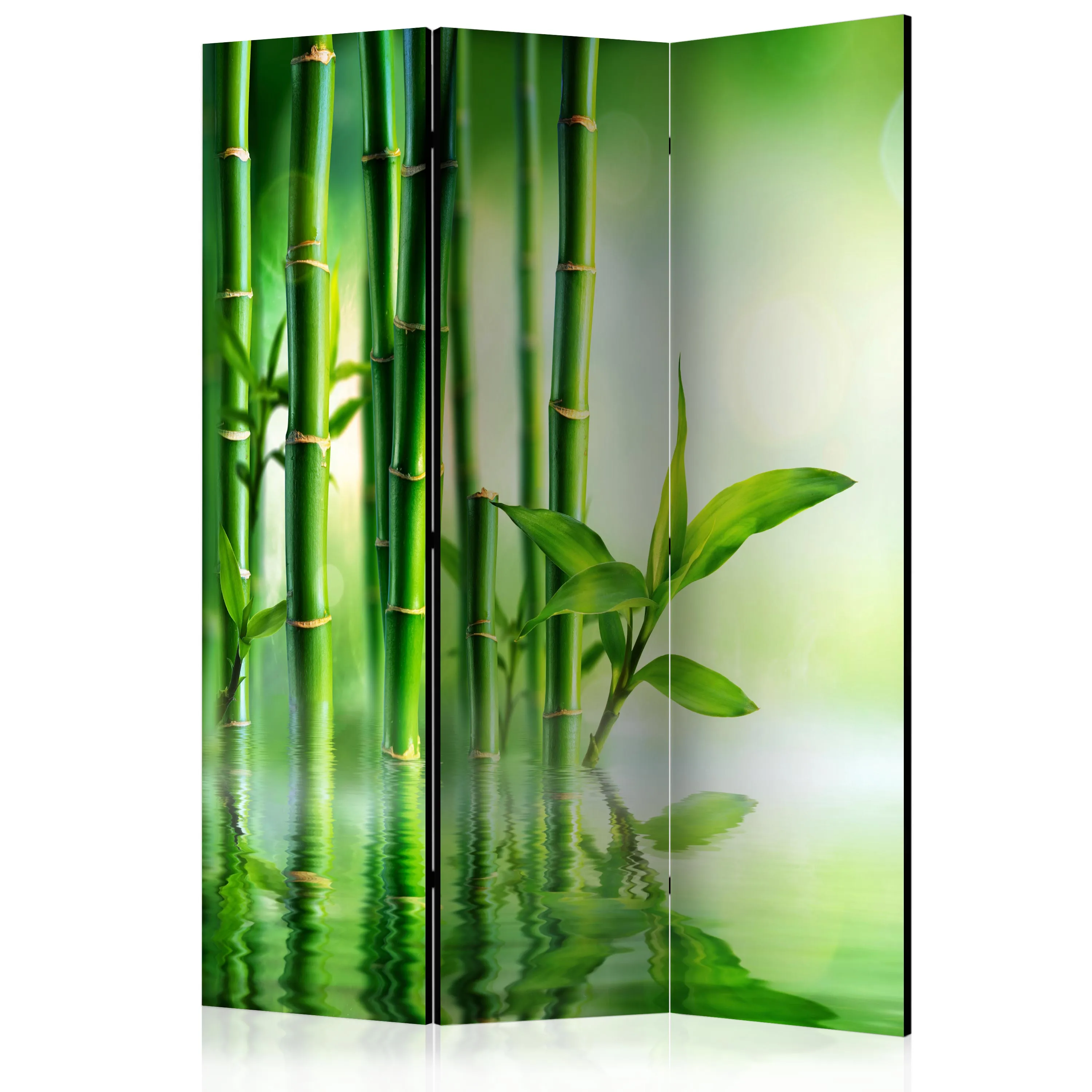 Paravento Bamboo Grove [Room Dividers]