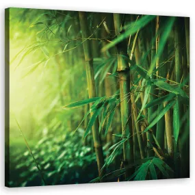 Quadro su tela, Bamboo nella giungla